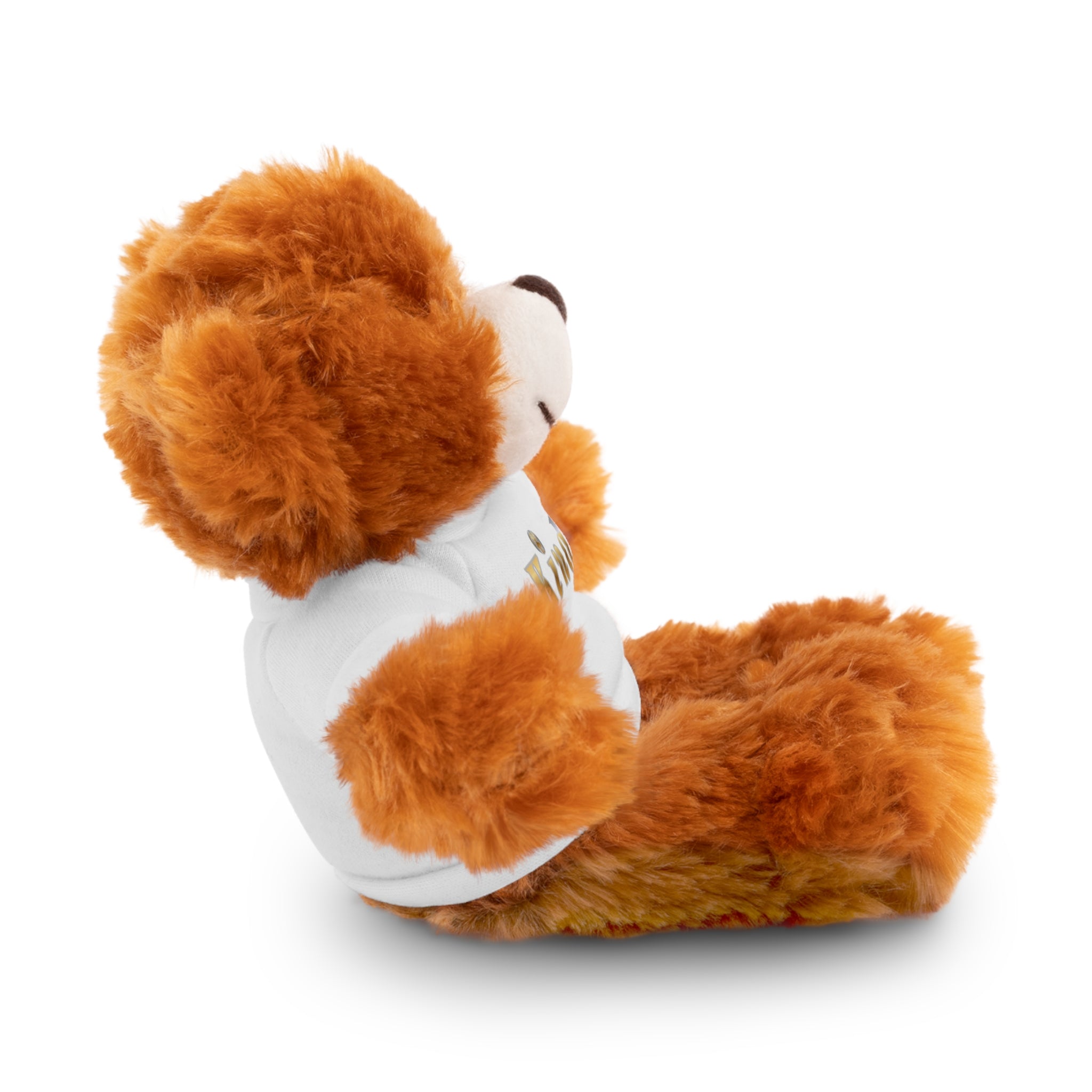 KindKing Teddy Bear with 'KindKing' Tee – Plush Stuffed Animal Gift