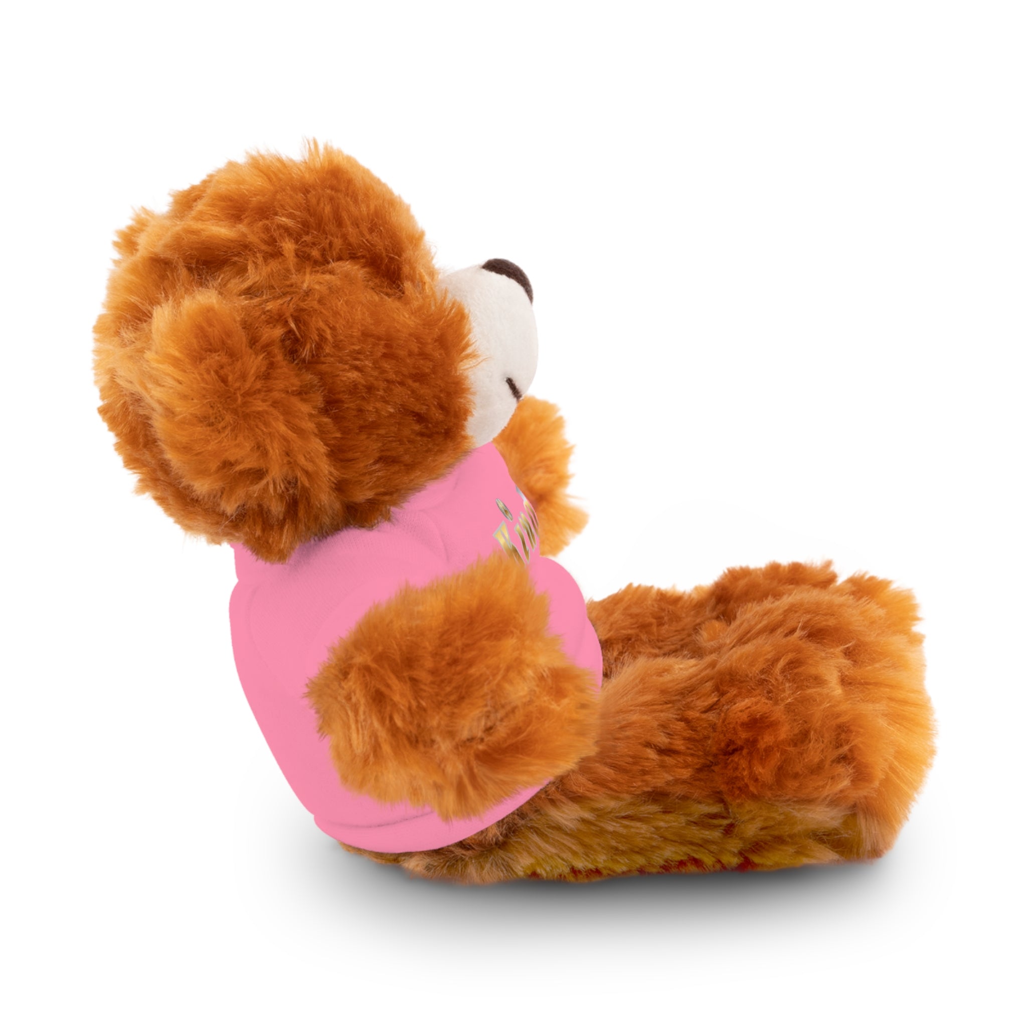 KindKing Teddy Bear with 'KindKing' Tee – Plush Stuffed Animal Gift