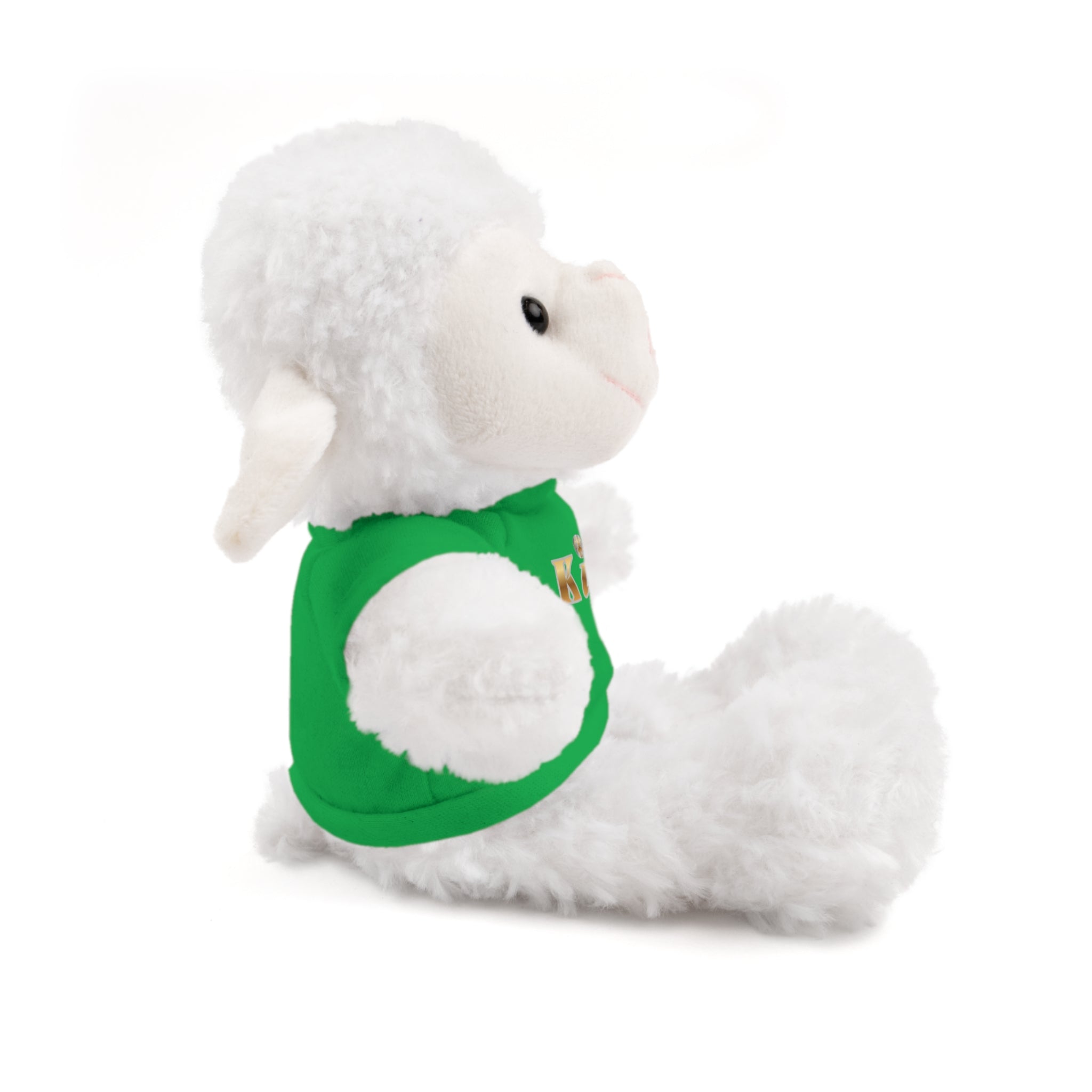 KindKing Teddy Bear with 'KindKing' Tee – Plush Stuffed Animal Gift