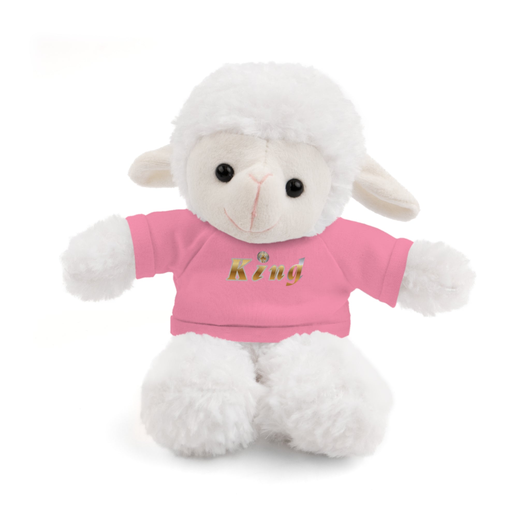 KindKing Teddy Bear with 'KindKing' Tee – Plush Stuffed Animal Gift