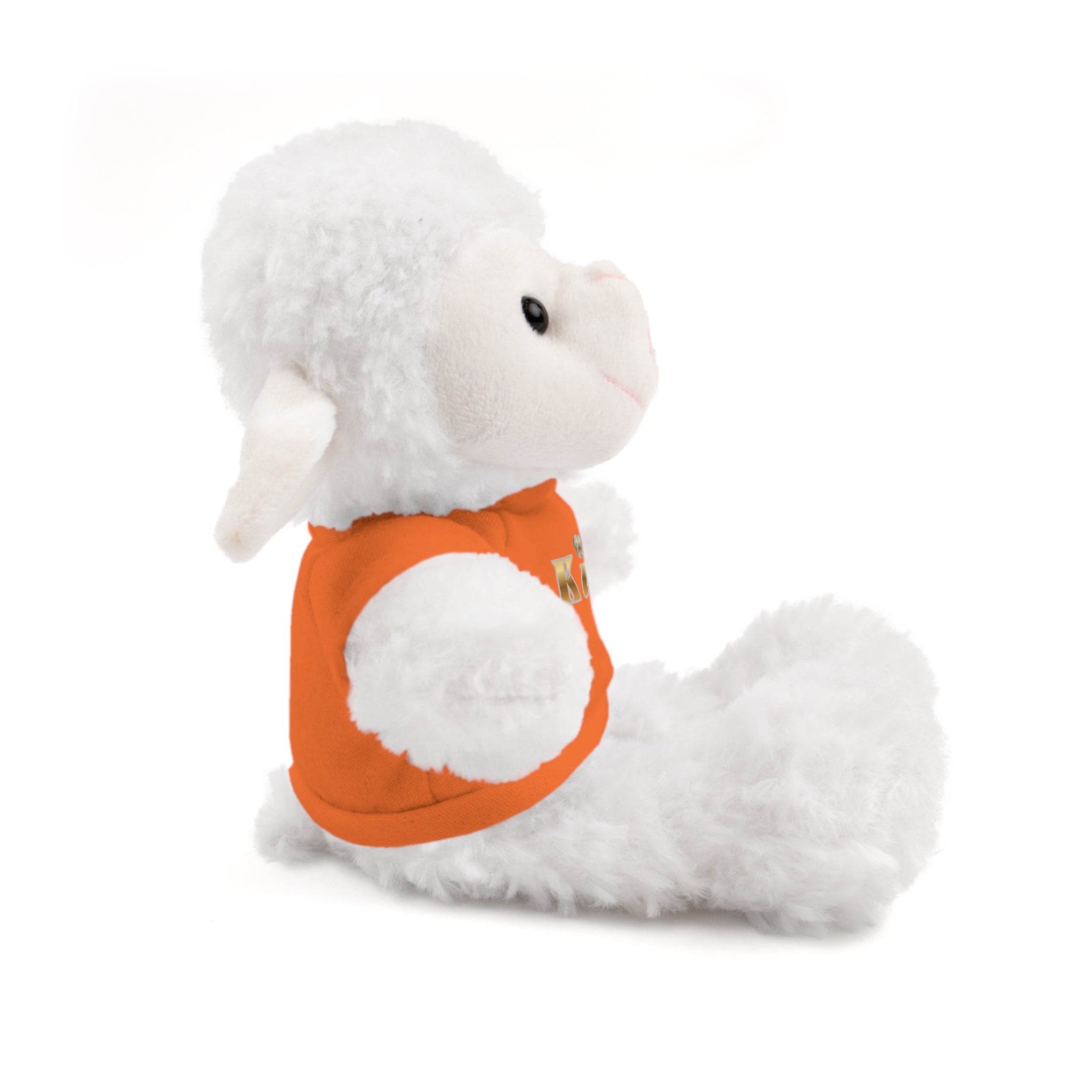 KindKing Teddy Bear with 'KindKing' Tee – Plush Stuffed Animal Gift