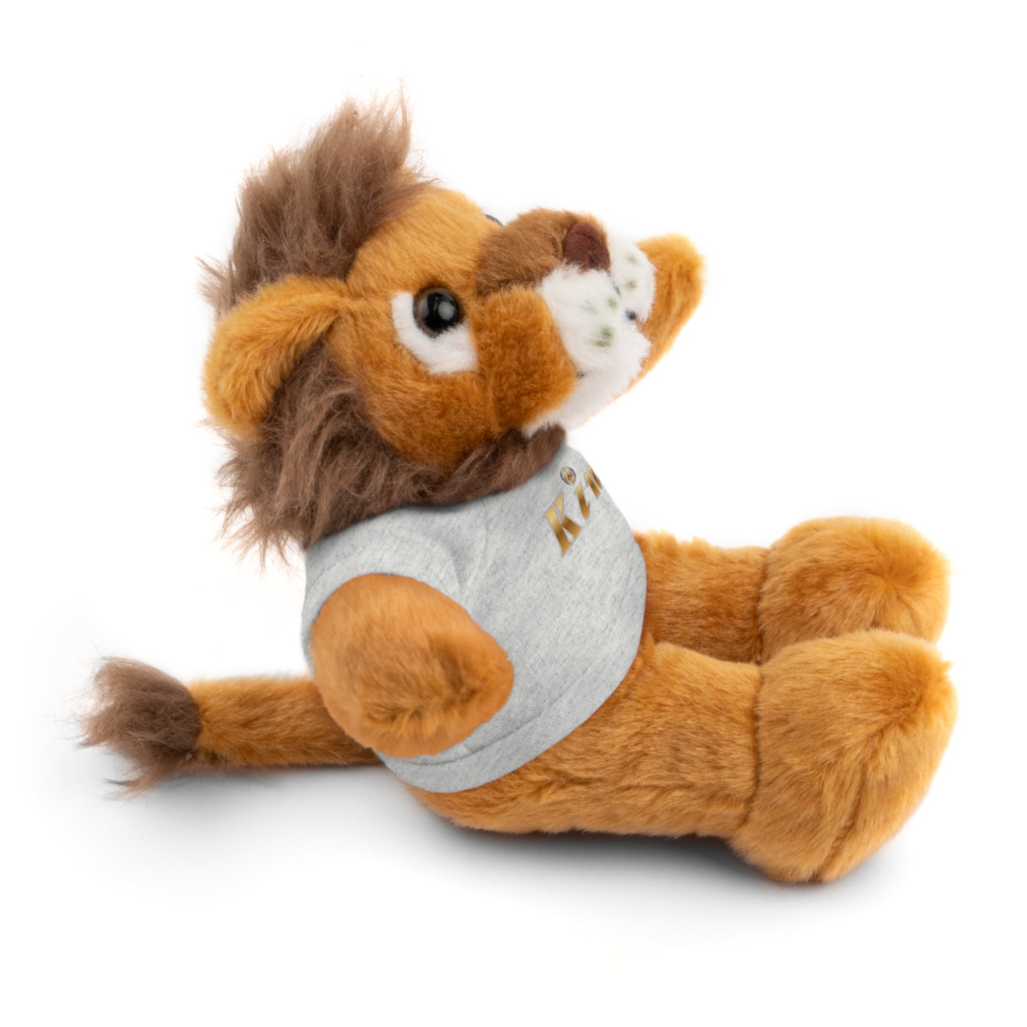 KindKing Teddy Bear with 'KindKing' Tee – Plush Stuffed Animal Gift