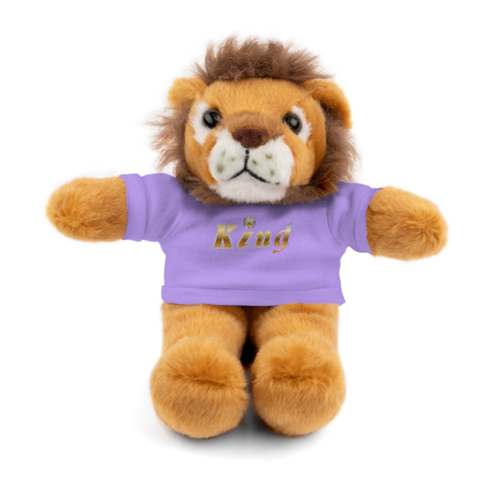 KindKing Teddy Bear with 'KindKing' Tee – Plush Stuffed Animal Gift