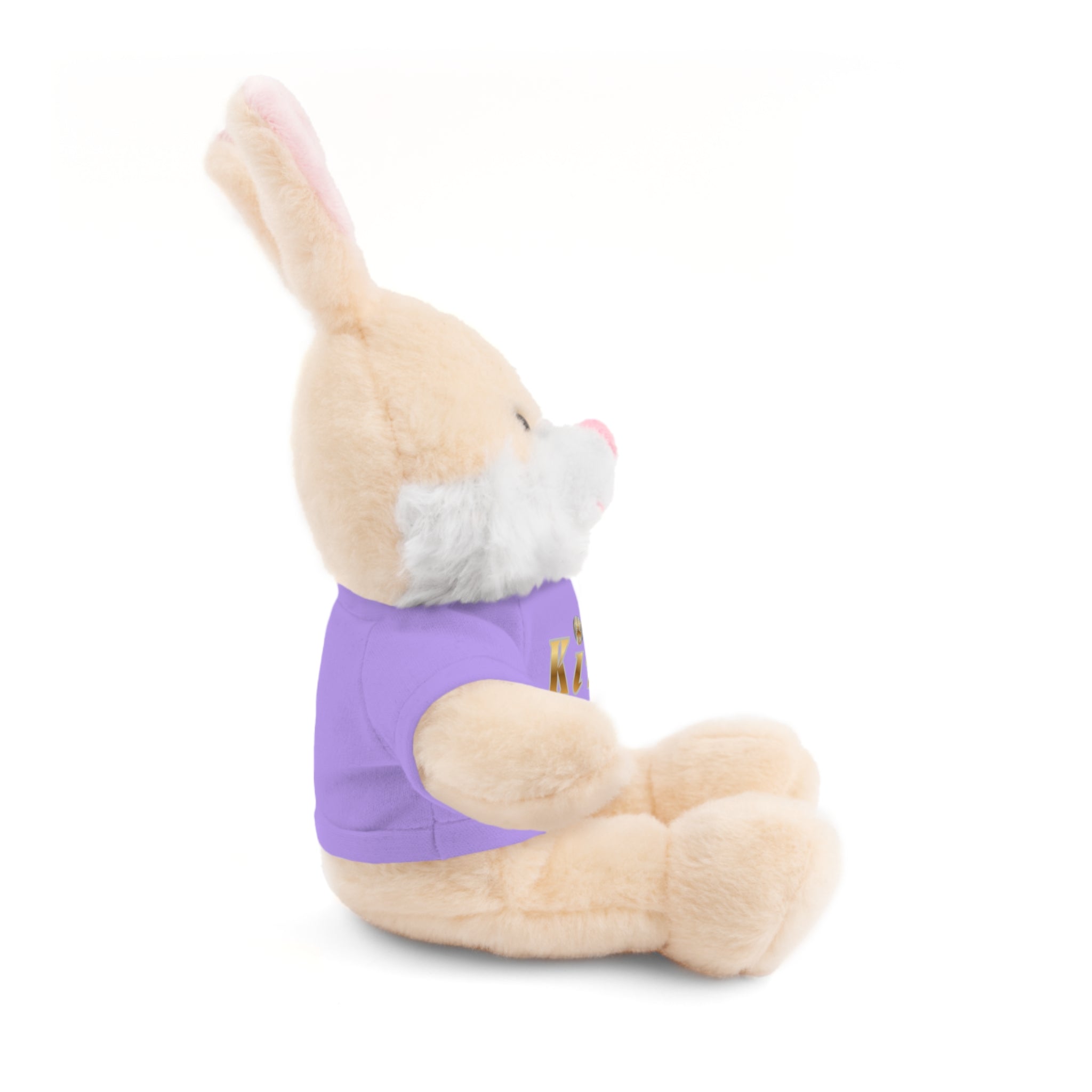 KindKing Teddy Bear with 'KindKing' Tee – Plush Stuffed Animal Gift