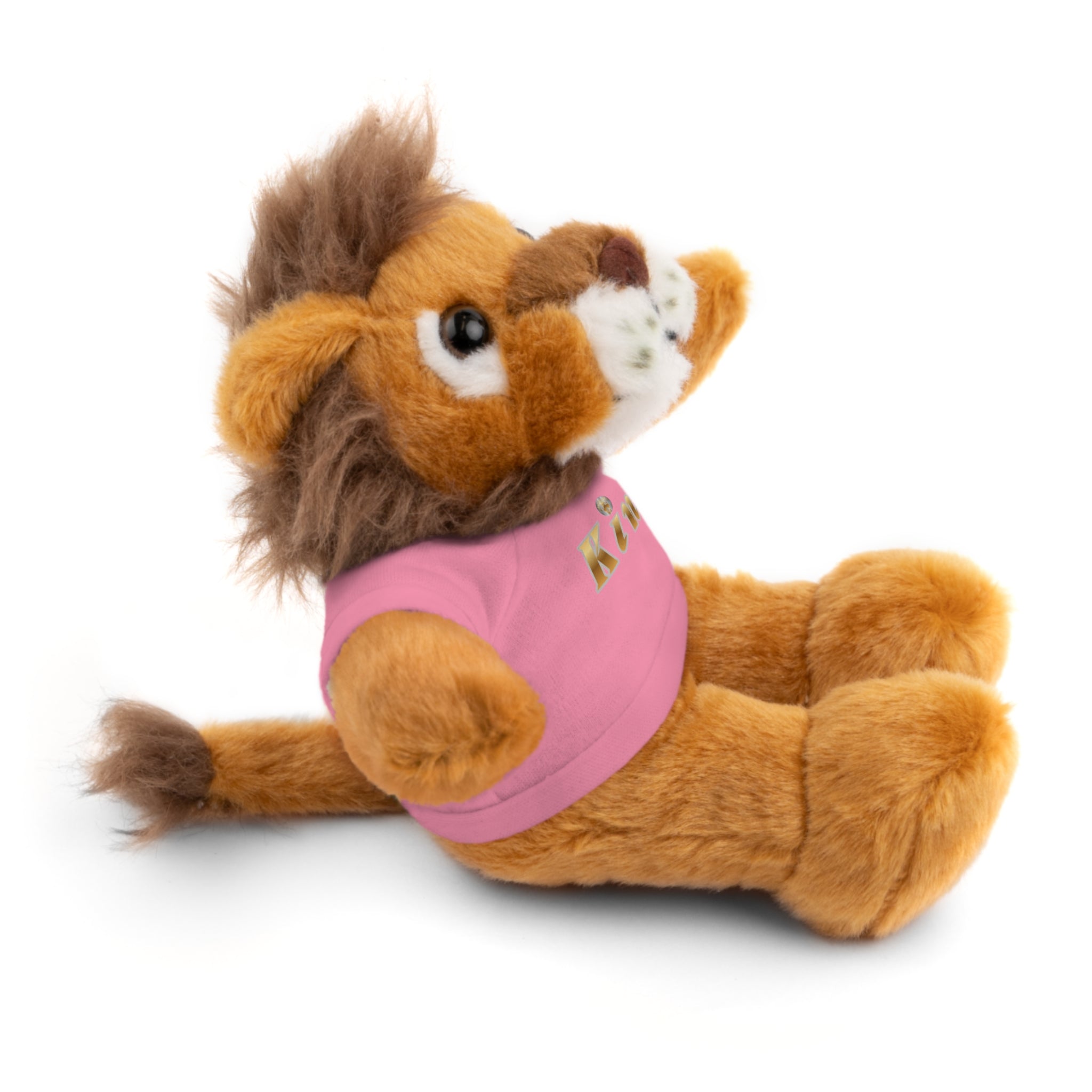 KindKing Teddy Bear with 'KindKing' Tee – Plush Stuffed Animal Gift