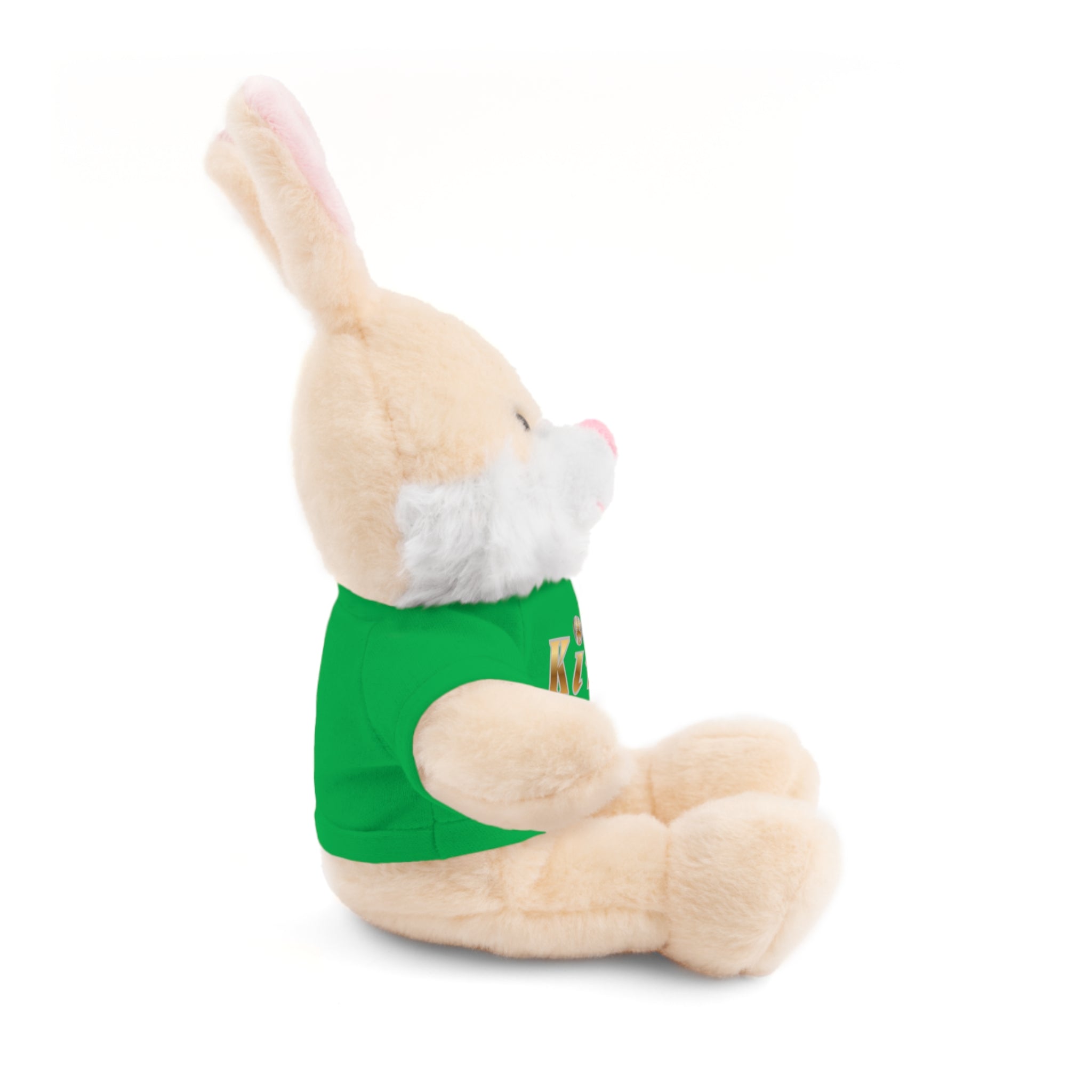 KindKing Teddy Bear with 'KindKing' Tee – Plush Stuffed Animal Gift