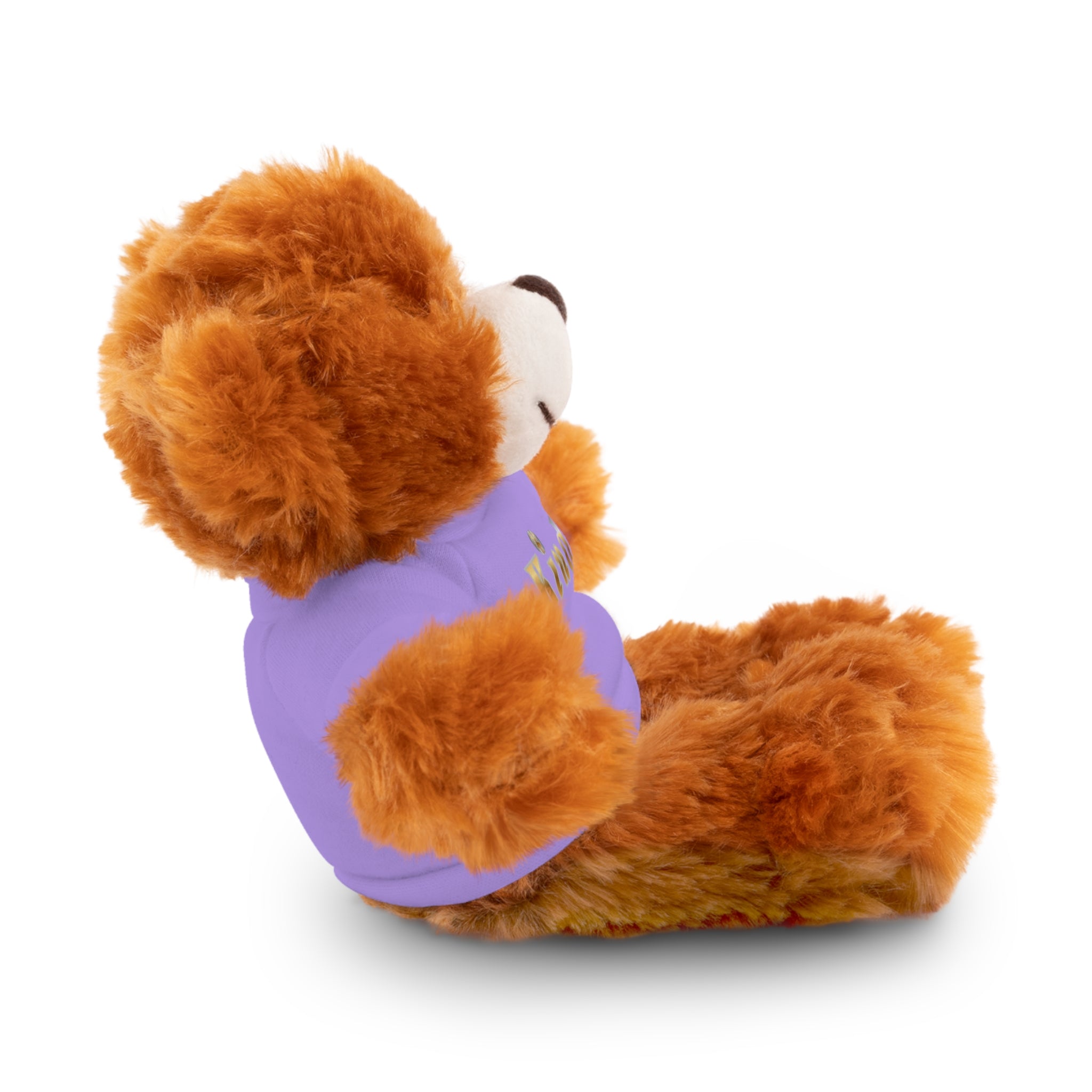 KindKing Teddy Bear with 'KindKing' Tee – Plush Stuffed Animal Gift