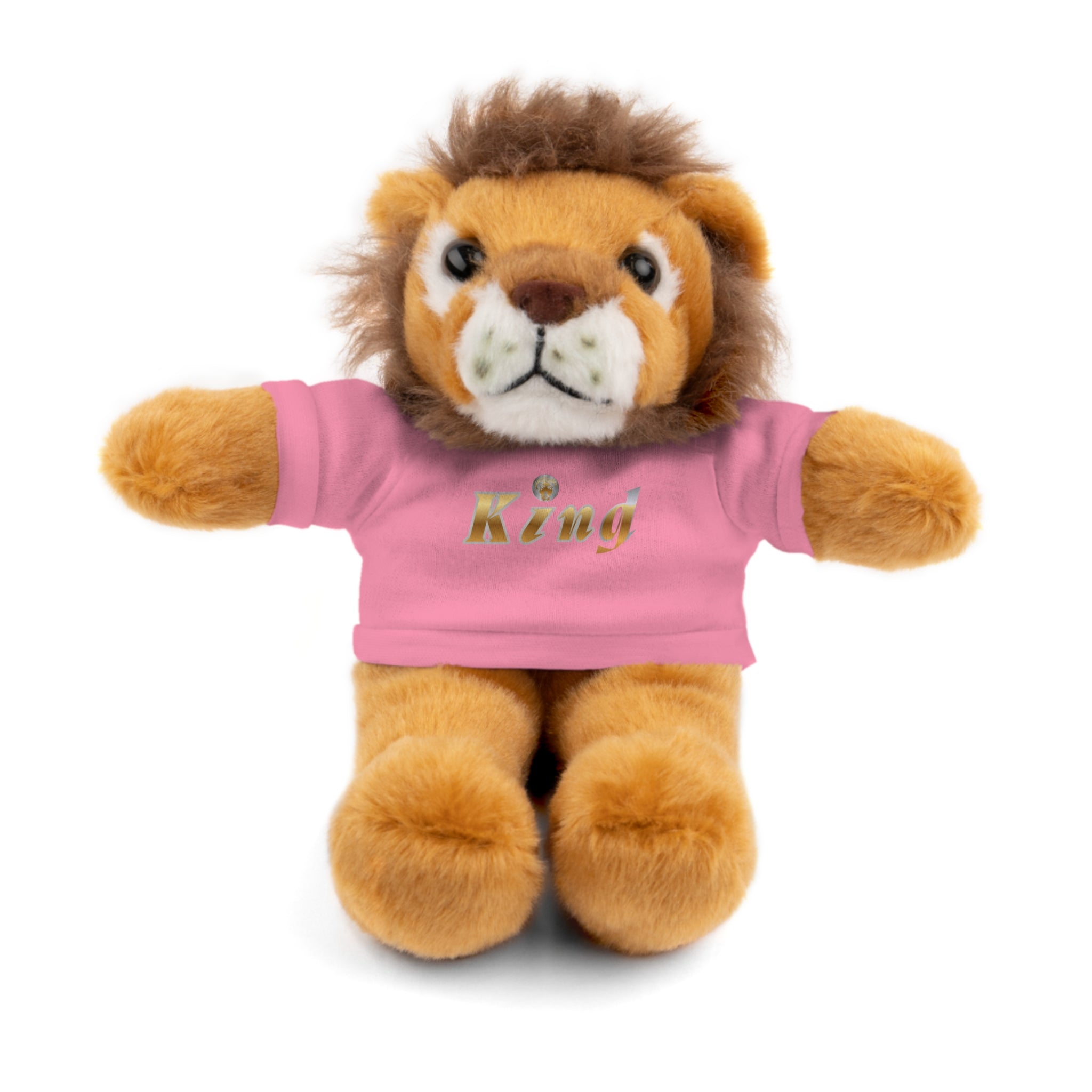 KindKing Teddy Bear with 'KindKing' Tee – Plush Stuffed Animal Gift
