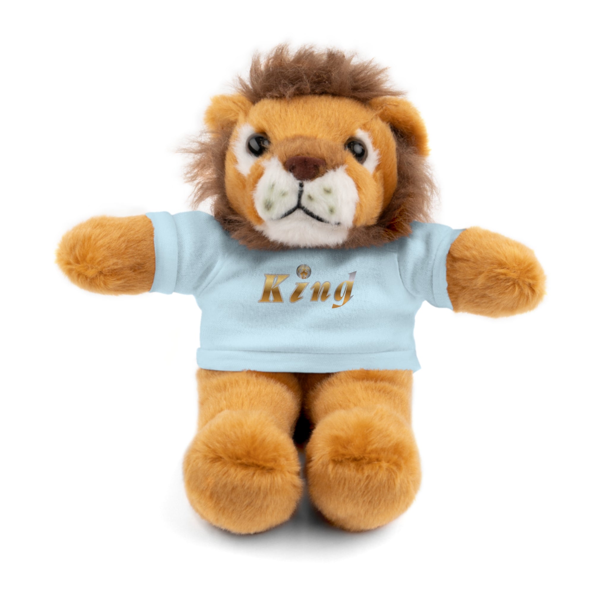 KindKing Teddy Bear with 'KindKing' Tee – Plush Stuffed Animal Gift