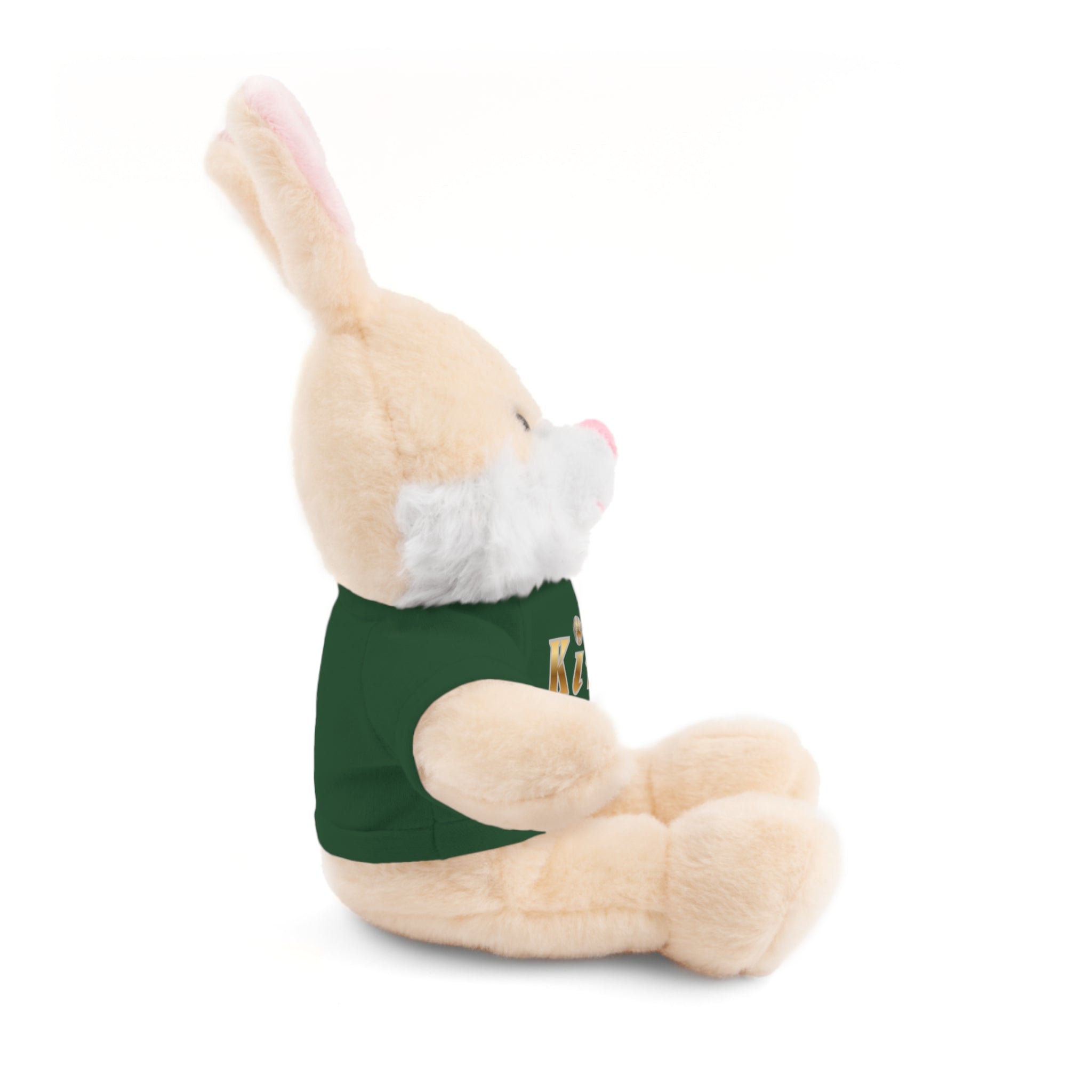 KindKing Teddy Bear with 'KindKing' Tee – Plush Stuffed Animal Gift