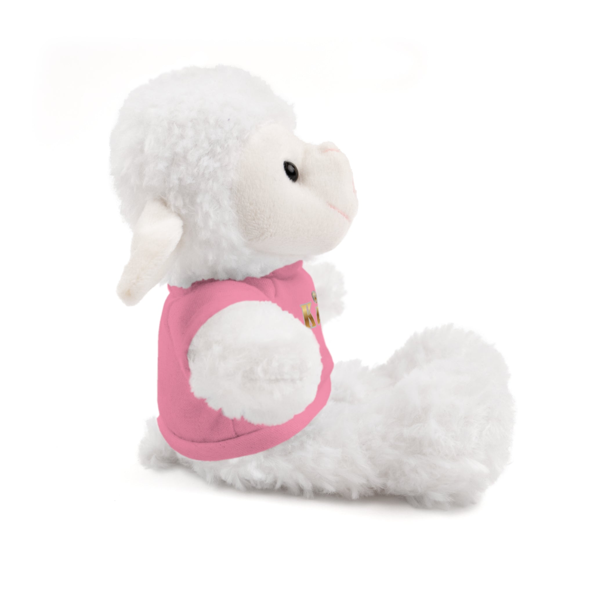 KindKing Teddy Bear with 'KindKing' Tee – Plush Stuffed Animal Gift