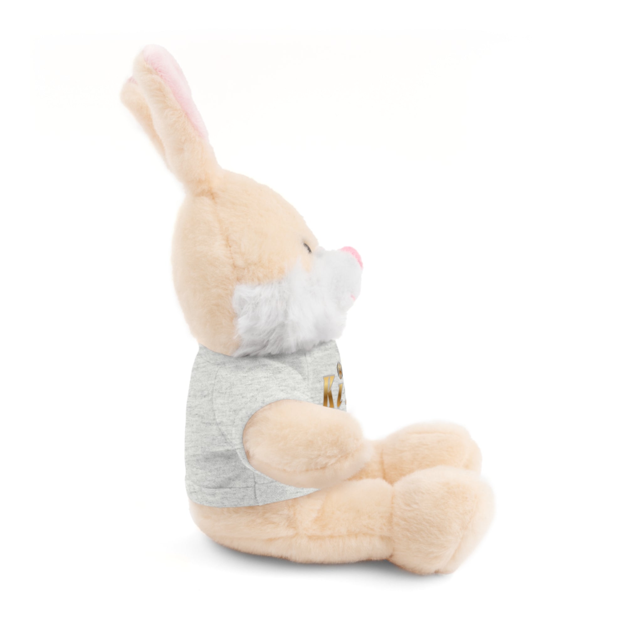 KindKing Teddy Bear with 'KindKing' Tee – Plush Stuffed Animal Gift