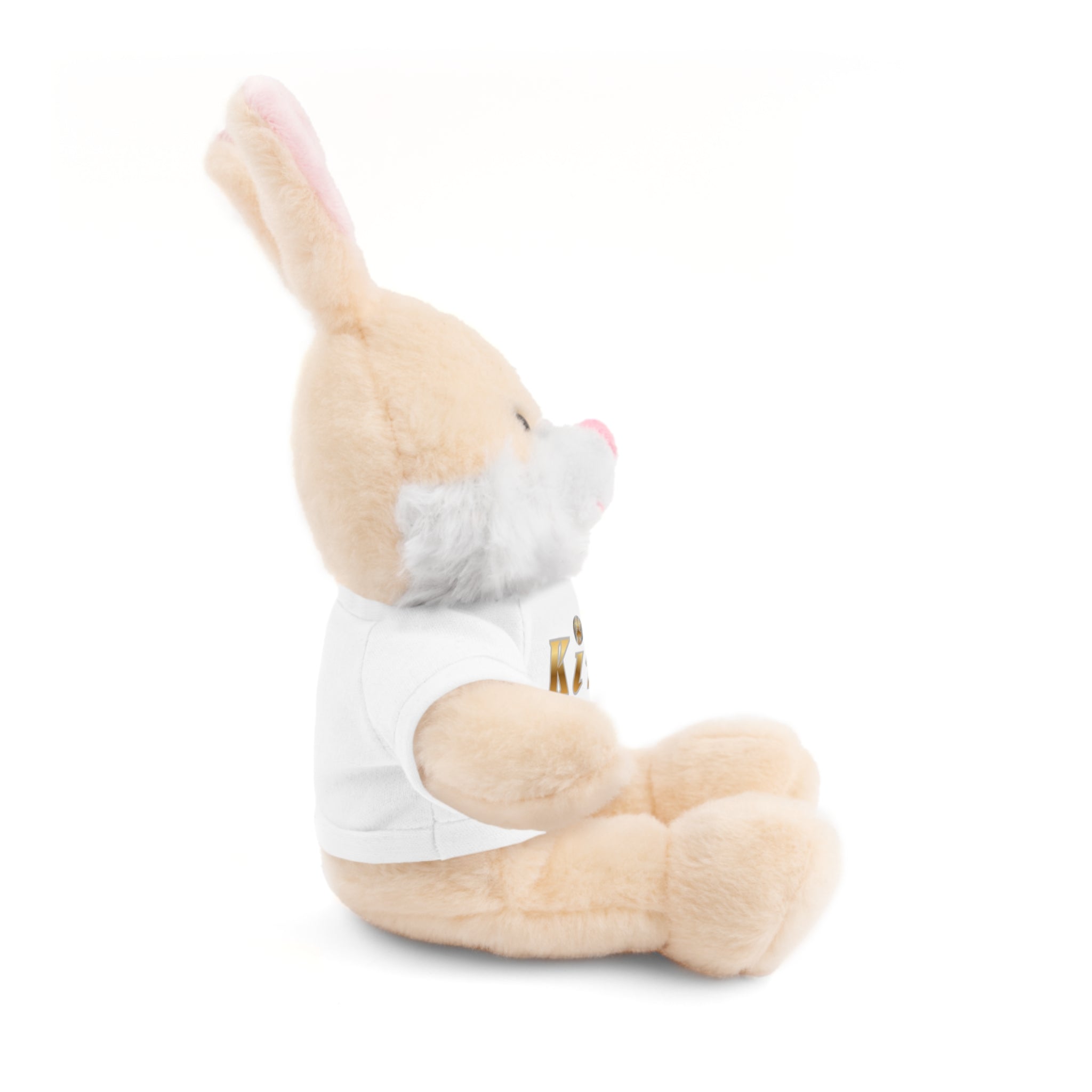 KindKing Teddy Bear with 'KindKing' Tee – Plush Stuffed Animal Gift