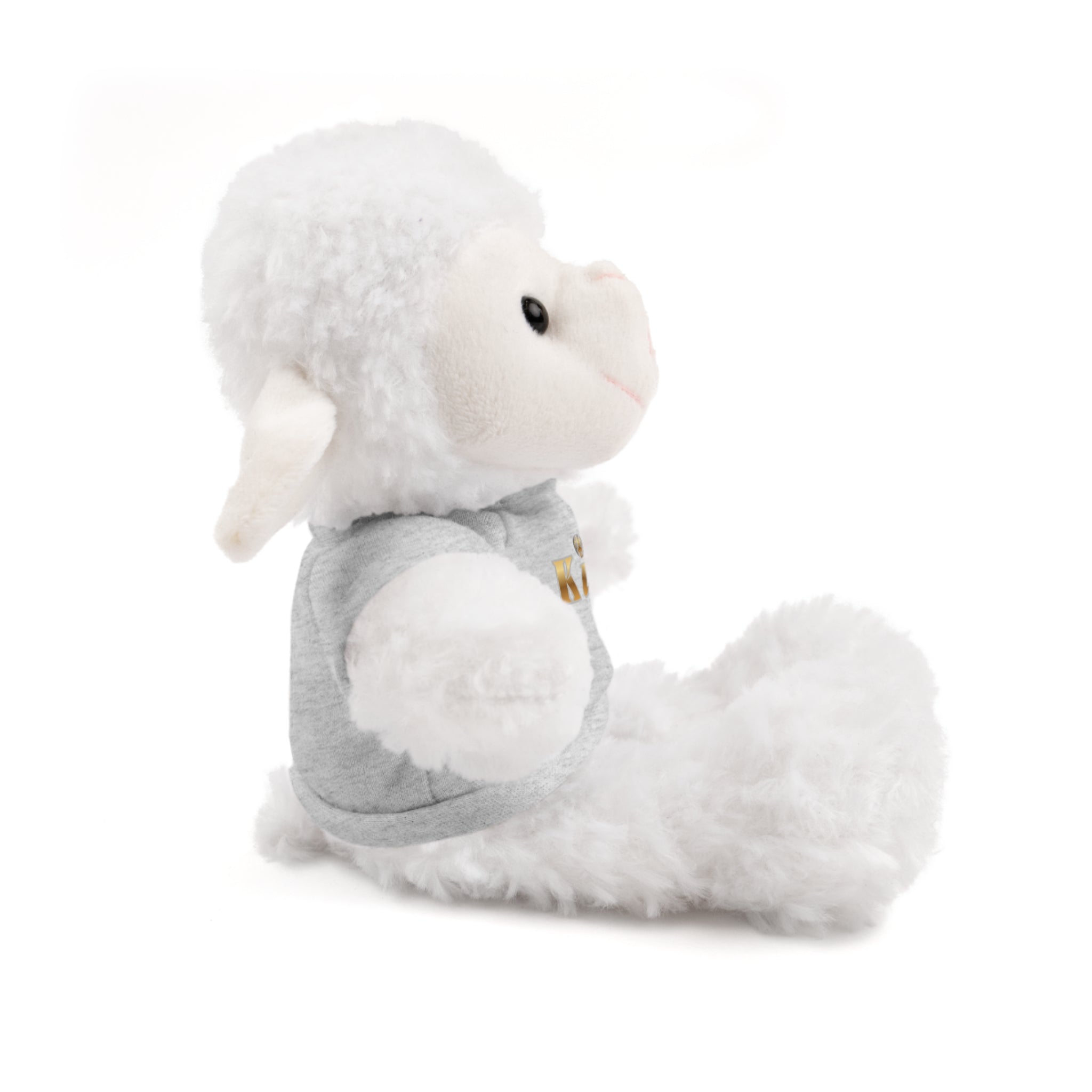 KindKing Teddy Bear with 'KindKing' Tee – Plush Stuffed Animal Gift