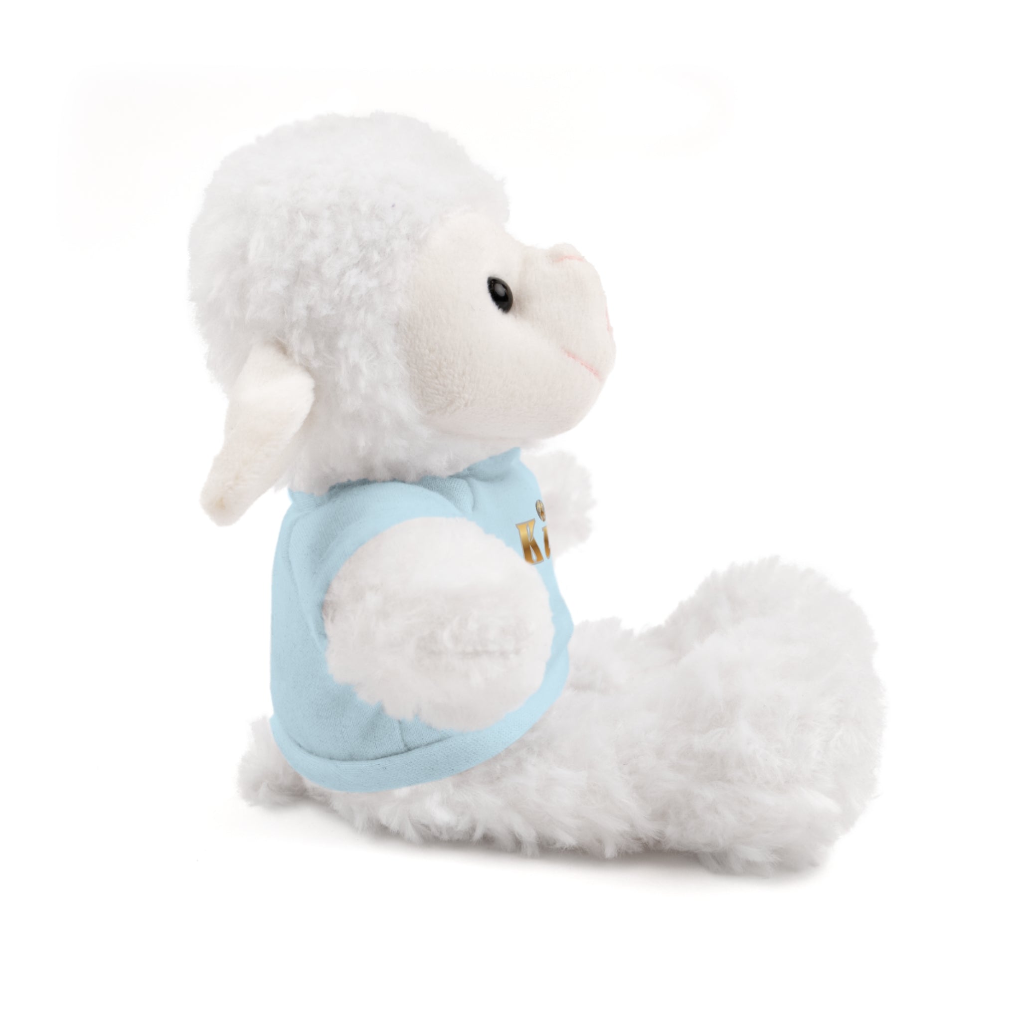 KindKing Teddy Bear with 'KindKing' Tee – Plush Stuffed Animal Gift