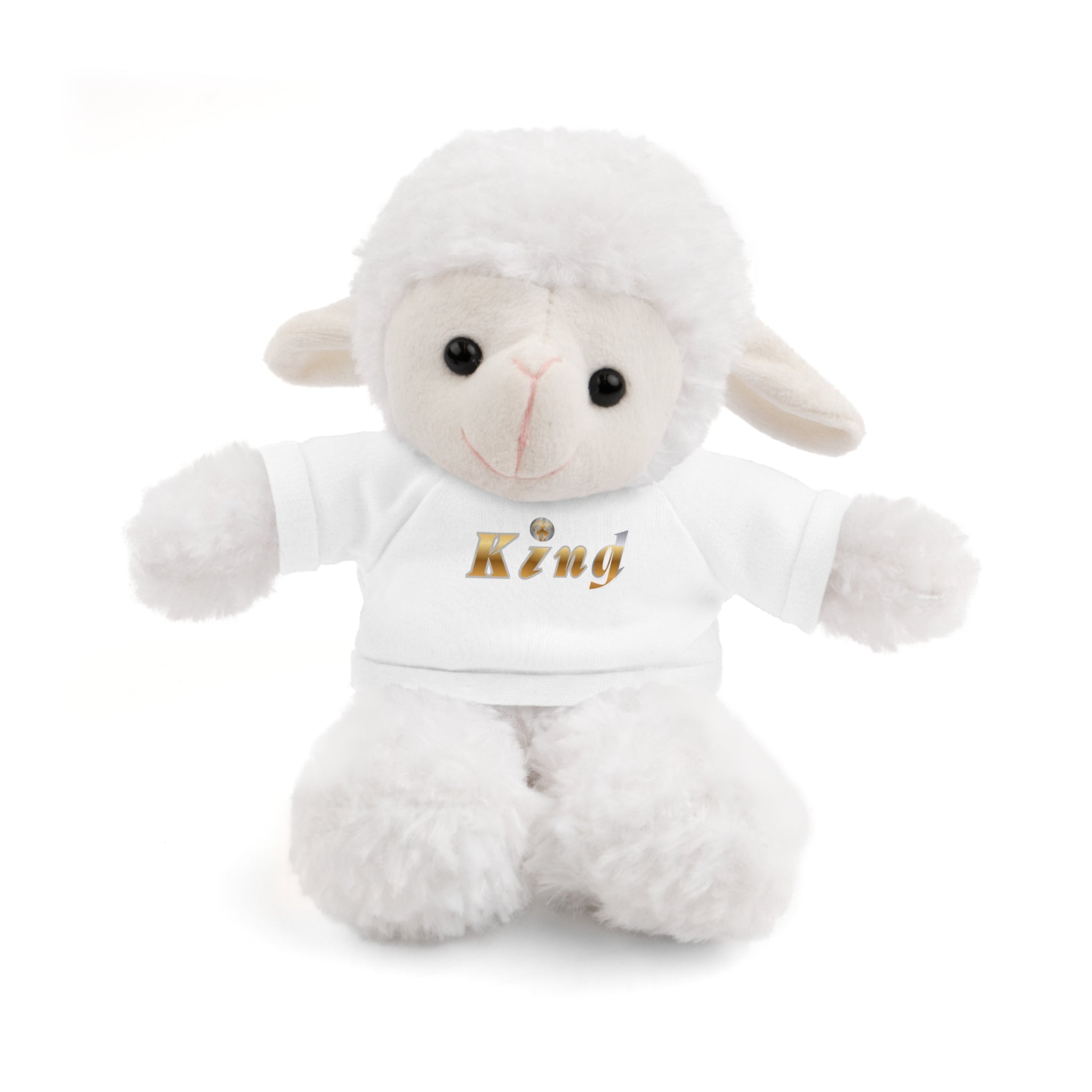 KindKing Teddy Bear with 'KindKing' Tee – Plush Stuffed Animal Gift