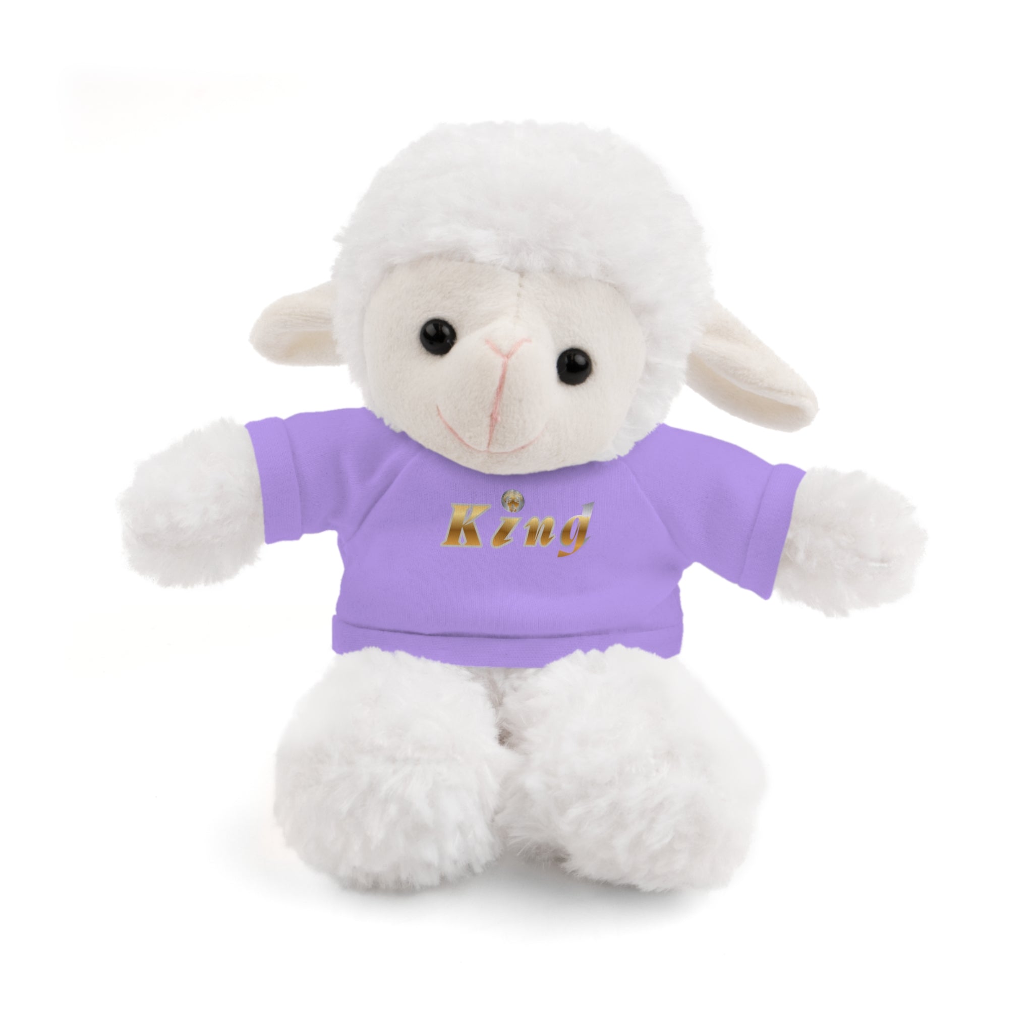 KindKing Teddy Bear with 'KindKing' Tee – Plush Stuffed Animal Gift
