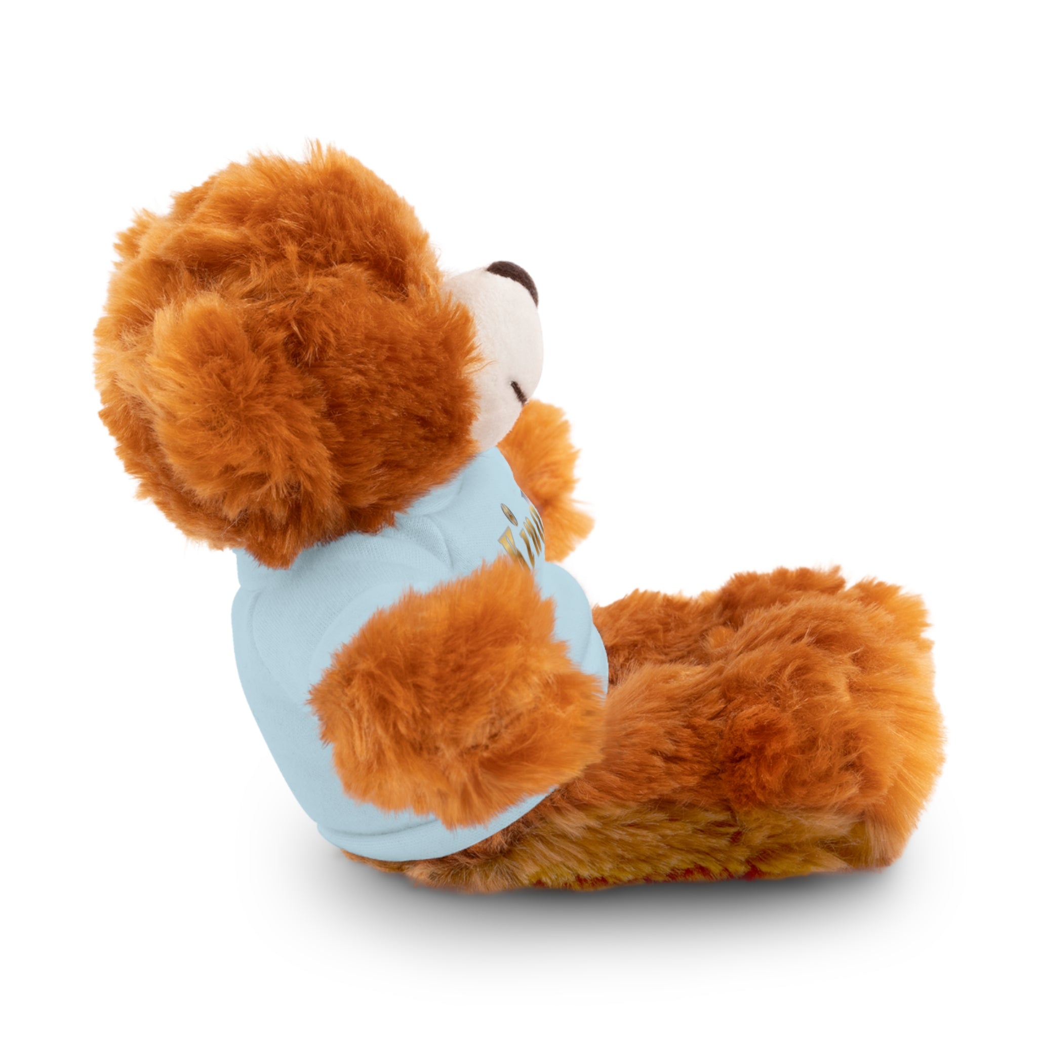 KindKing Teddy Bear with 'KindKing' Tee – Plush Stuffed Animal Gift